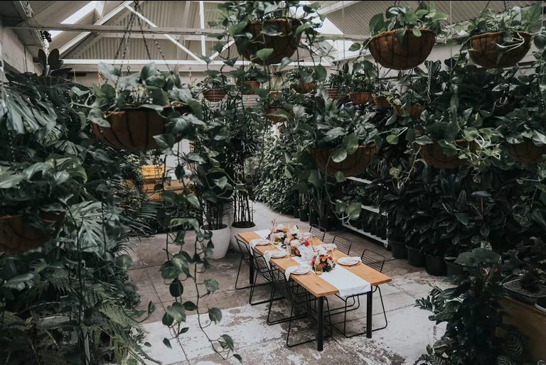Plant-filled greenhouse event space at Botanicah Sanctuary, Prahran, set with long tables